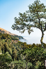 Marine fog rolling in at Big Sur, California