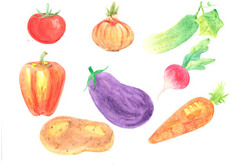 set of vegetables. Watercolor