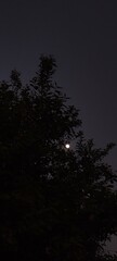 Moon and nature 