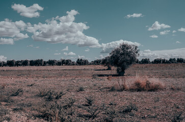 paesaggio desertico