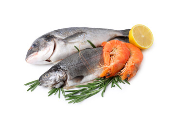 Different fresh sea food with spices isolated on white