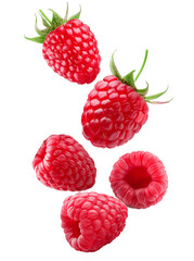 Falling raspberry berries on transparent