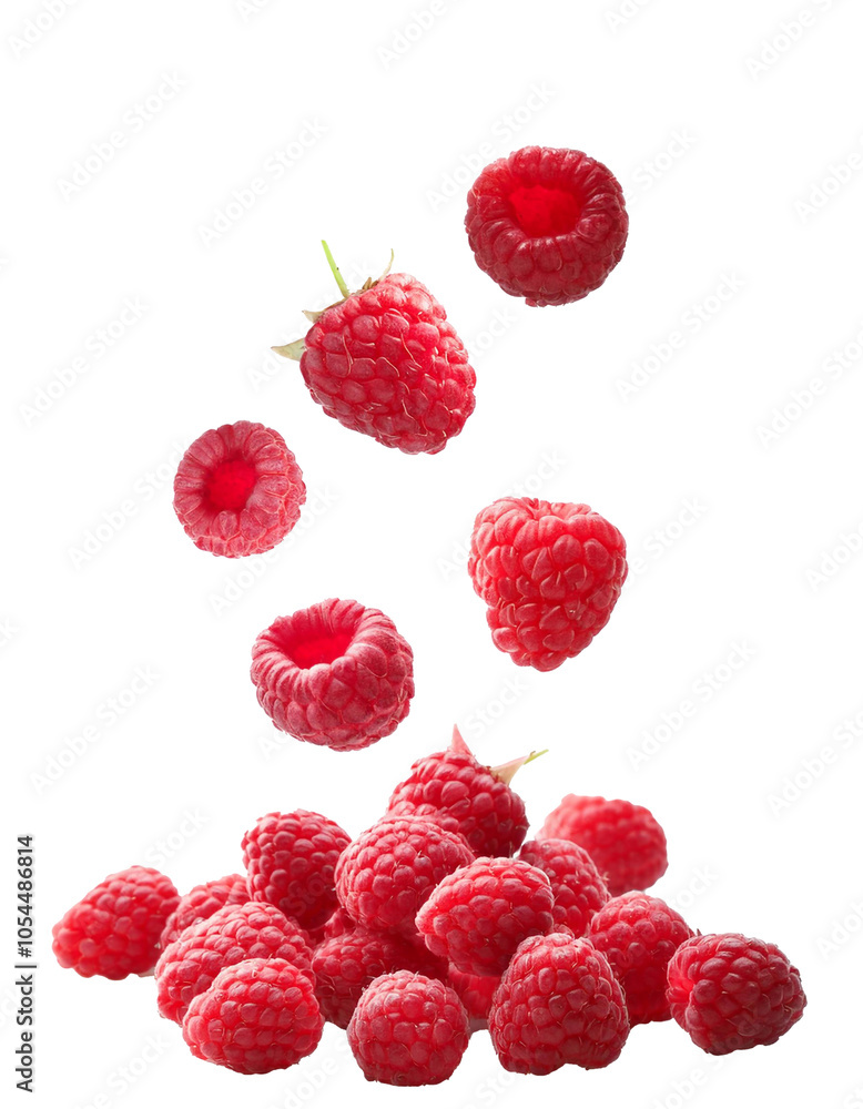 Poster Falling raspberry berries on transparent