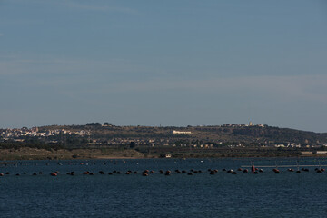 paesaggio marino