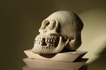 Human skull and wooden blocks on beige background