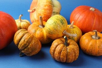 Group of fresh pumpkins on blue background, closeup