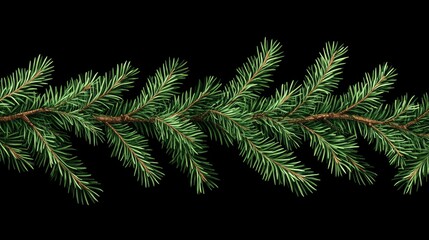 Christmas tree branches. Festive Xmas border of green branch of pine. Pattern pine branches, spruce branch. Realistic design decoration elements. Vector illustration
