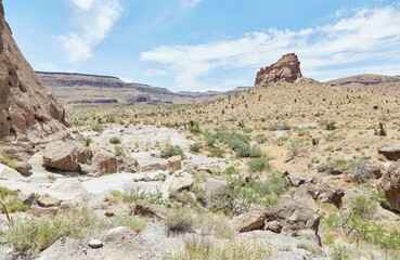 Fototapeta premium The Rings Loop Trail at California's Mojave National Preserve