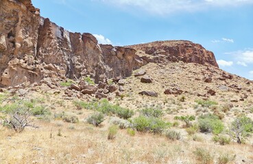 Fototapeta premium The Rings Loop Trail at California's Mojave National Preserve