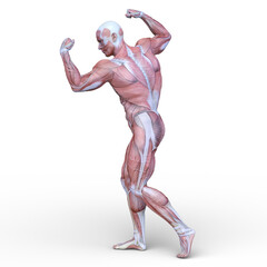 ポーズをとる男性　3DCGレンダリング