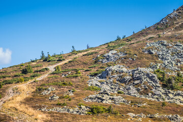 Enjoy a breathtaking scenic mountain trail that features rocky terrain beneath a clear blue sky