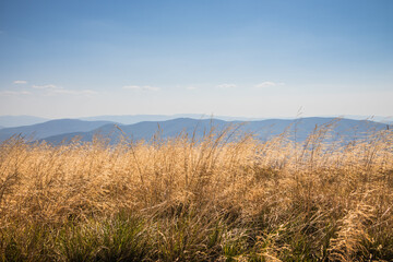 Obraz premium A Breathtaking Stunning Mountain View Across the Vibrant Grassland on a Beautiful Clear Day