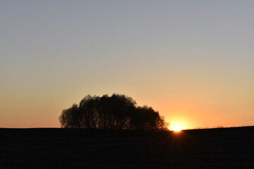 An incredibly beautiful sunset. The color of the sky from which it is impossible to take your eyes off.