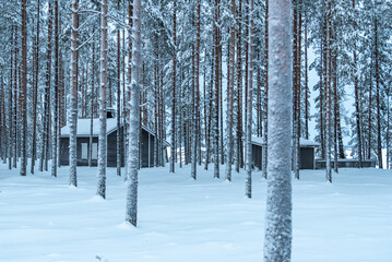 Fototapeta premium empty cabin snowy woods