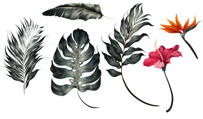 Obraz premium set of tropical flowers