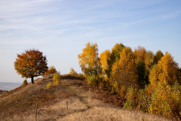 beautiful autumn landscape with orange and yellow trees