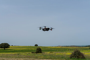 Fototapeta premium dron sobrevolando campos en flor primavera 2024