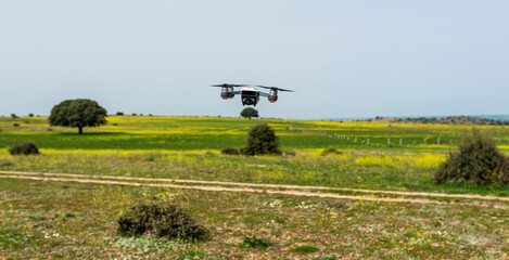 Fototapeta premium dron sobrevolando campos en flor primavera 2024