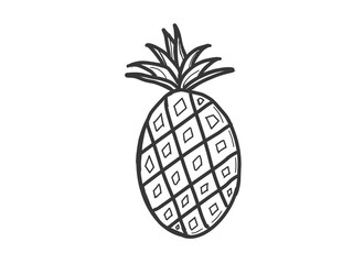 a hand drawn of pineapple on a white background. pineapple illustration.