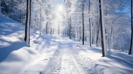 Obraz premium Serene Winter Pathway Through Snowy Forest