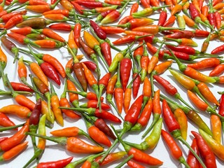 Hot red chili pepper isolated on white background.