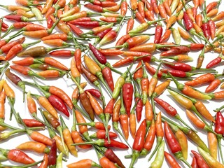 Hot red chili pepper isolated on white background.