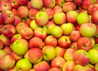 fruit background of fresh gala apples