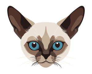 Siamese cat head. Vector isolated illustration