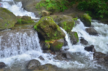 Naklejka premium waterfall in the forest