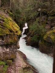 waterfall in the forest