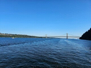 bridge 
