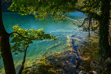 Calm lake reflection. The tranquil transparent waters of lake in the background. Nature. Landscape Reflection off of a clear lake water. Beautiful colorful summer spring natural landscape with a lake.