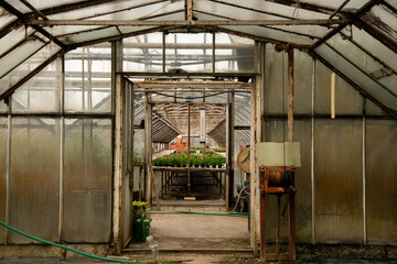 old abandoned factory