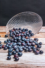 ArkansasTall blueberry (Vaccinium corymbos um): It is the most cultivated in North America and has a sweet and juicy flavor