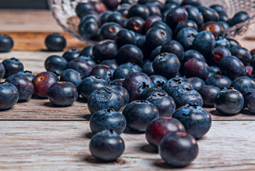  It is smaller and has a more intense flavor Low-year blueberry (Vaccinium angustifolio)