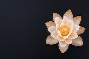 A serene water lily blooms gracefully against a dark background, symbolizing purity and tranquility in nature.