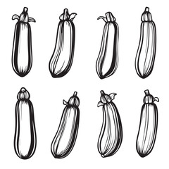 Zucchini in cartoon, doodle style . Image for t-shirt, web, mobile apps and ui. Isolated 2d vector illustration in logo, icon, sketch style, Eps 10, black and white. AI Generative