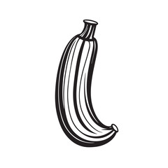 Zucchini in cartoon, doodle style . Image for t-shirt, web, mobile apps and ui. Isolated 2d vector illustration in logo, icon, sketch style, Eps 10, black and white. AI Generative