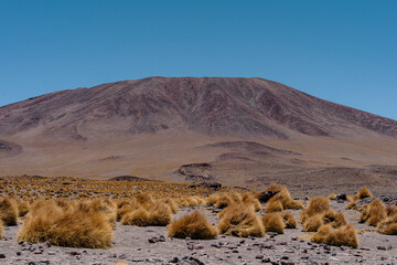 High-Altitude Landscape of Laguna Colorada in Bolivia&rsquo;s Altiplano with Flamingos, Vicu&ntilde;as, and Volcanic Peaks