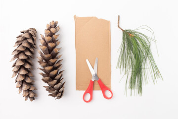 a pair of scissors sitting next to a pine cone, environmental art, pine needles, cardboard, viewed from above, step in creative process, DIY, white background,