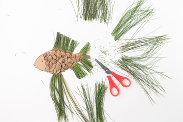 Pine cone fish shape, pine needles, white backdrop. Nature inspired flat lay art for poster, card,...