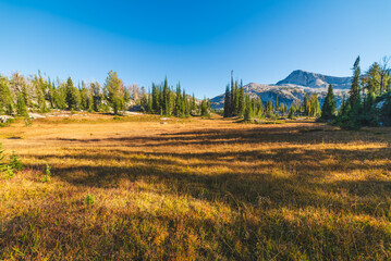 Autumn Meadow In The Mountains