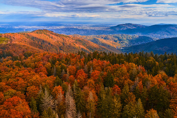 Breathtaking autumn scenery in the mountains, falling in love with nature. Aerial view