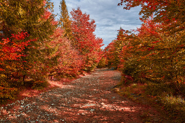 Magical place to walk and relax in autumn. Contemplating nature, amazing landscape