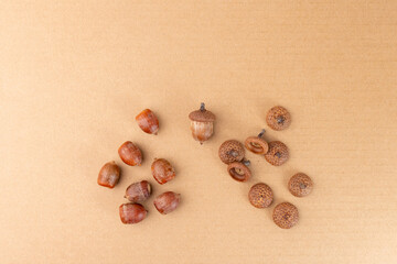 Acorns and caps arranged on cardboard, DIY nature craft project, autumn decoration. step in...