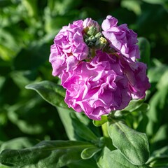 10月の終わりに