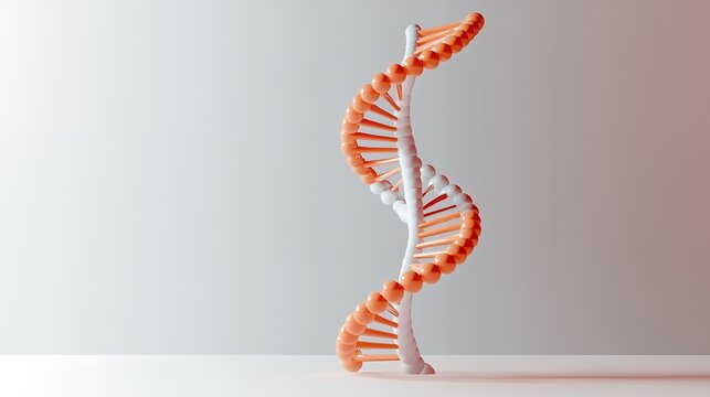 orange and white DNA double helix structure model on white background scientific molecular biology illustration