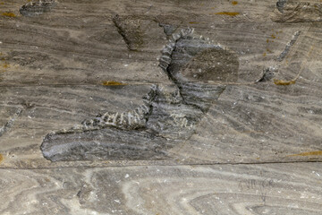 Salt wall texture background at Unirea salt mine, Slanic Prahova, Romania