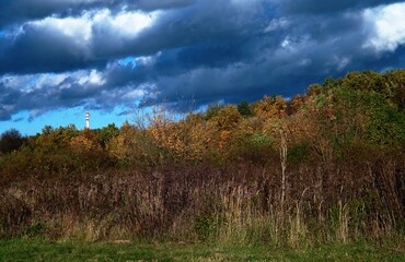 Obraz premium Autumn