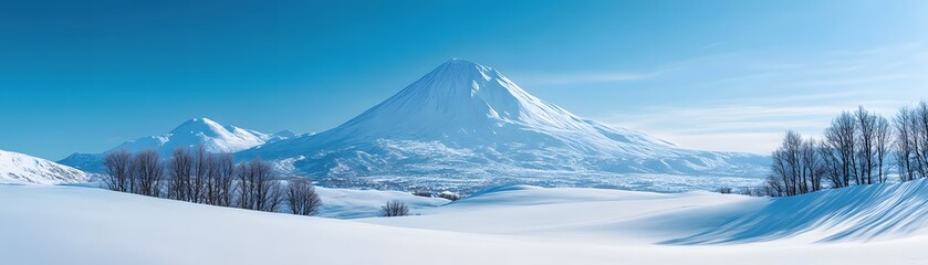 Snow-Covered Mountain Peak with Bare Trees and a Blue Sky